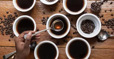 Kaffa Roastery kahvitarjoilu