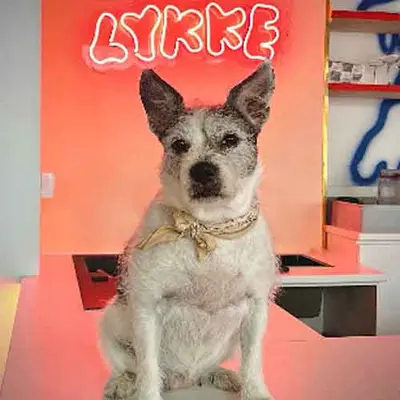 Lykke Helsinki kahvilan tunnelma